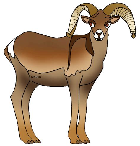 Bighorn Sheep Clip Art Clip Art Library