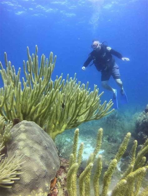 History Of Scuba Diving Go Diving Cancun