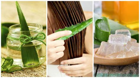 Tratamientos Con Aloe Vera Para Fortalecer El Cabello Mejor Con