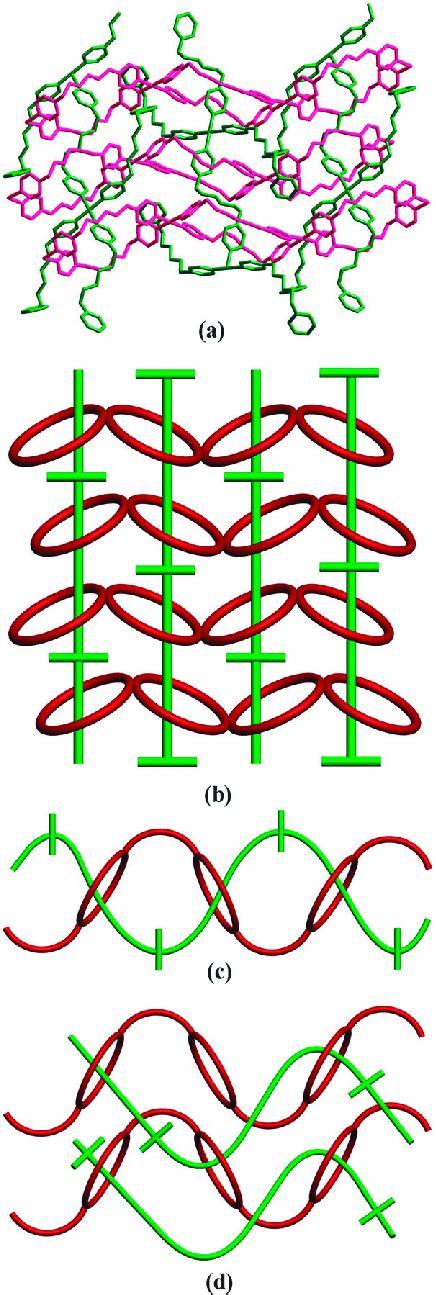 A A View Of The Inclined 1d 2d Polyrotaxane Network In 13 B A