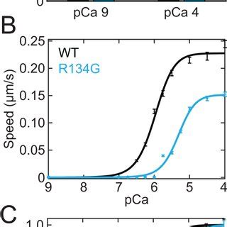 A Percent Stuck Filaments In An In Vitro Motility Assay At PCa 9 97