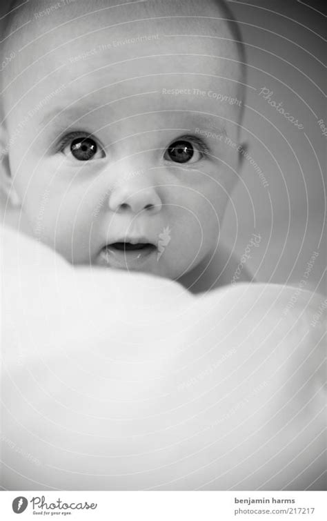 Hibbie Baby Human Being A Royalty Free Stock Photo From Photocase