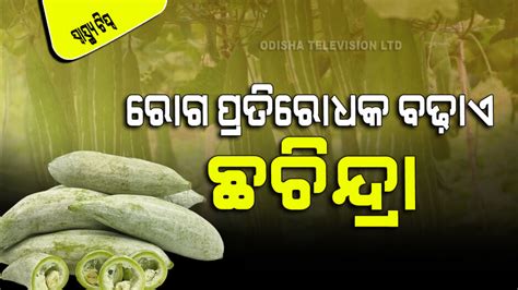 Snake Gourd Health Benefits ମଧମହ ଓ କଡନ ସମସୟ ପଇ ରମବଣ ପର