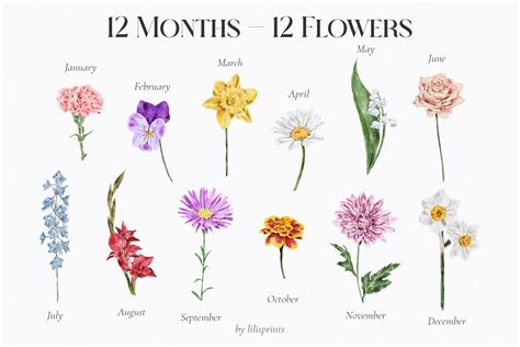 Watercolor Birth Month Flowers Set By Lilisprints