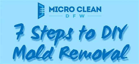 7 Steps to DIY Mold Removal [Infographic] - Micro Clean DFW