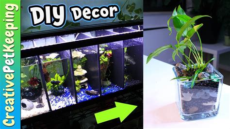 Homemade Betta Fish Tank Decorations Shelly Lighting