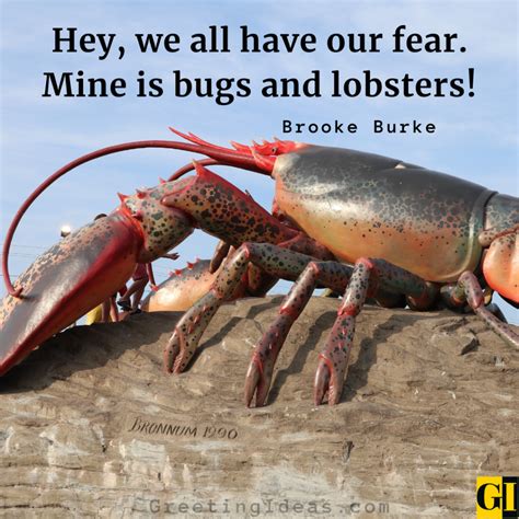 Famous Lobster Quotes And Sayings For Ocean Admirers