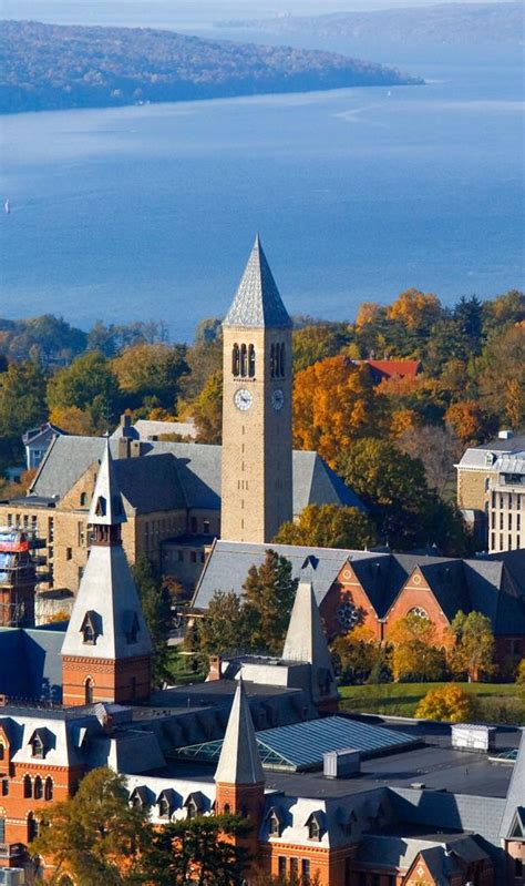 The Top 8 Ivy League Universities Ranked And Reviewed