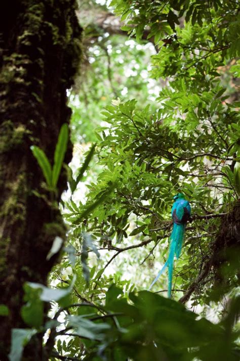 Panama Plongée En Pleine Nature Madame Oreille Blog Voyage Et