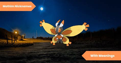 101 Mothim Nicknames Unveiling The Mysteries Of The Nighttime