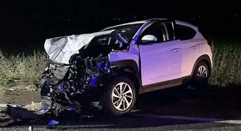 Cinghiale Attraversa La Statale E Provoca Un Incidente Auto Contro