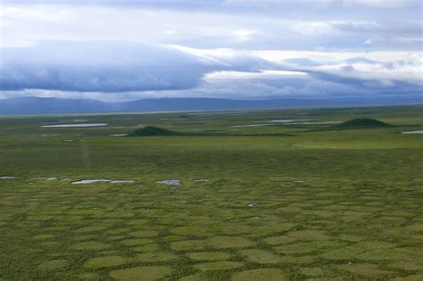 Tundra Polygons And Pingos Unique Arctic Landforms Are Fou Flickr