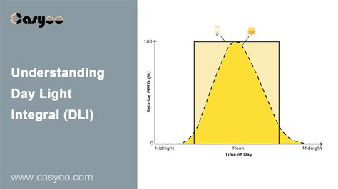 Understanding Day Light Integral Dli Casyoo