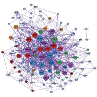 The Protein Protein Interaction PPI Network And Modules A PPI