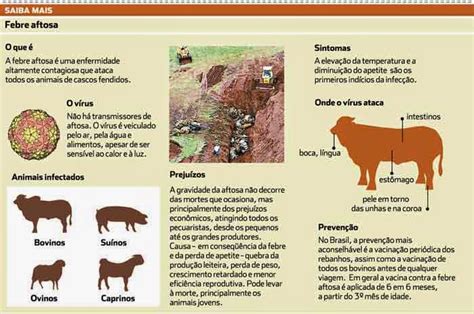 Febre Aftosa Enciclopédia Global