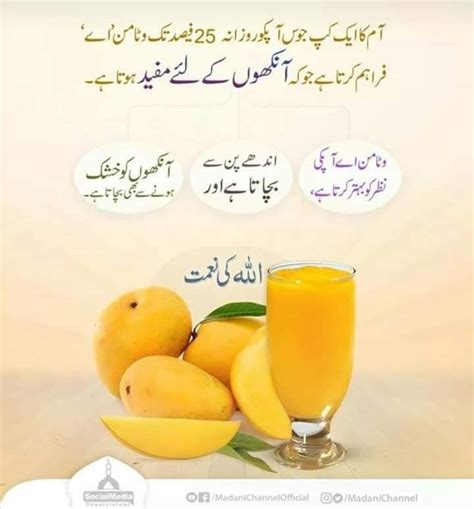 Pin By Nasreen Bano On Madani Knowledge Natural Health Tips Health