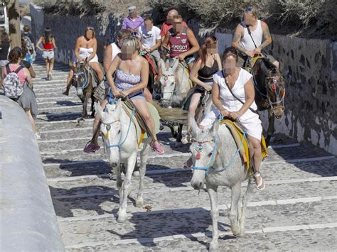 Santorini Greek Government Bans Fat Tourists From Riding Donkeys