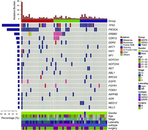 Circulating Tumor Dna Ctdna Gene Mutation Profiles Top And Patient