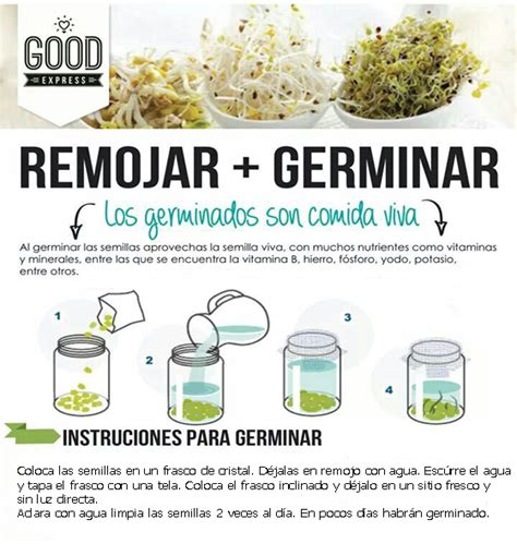 El Poder Medicinal De Los Alimentos Germinados Y Fermentados