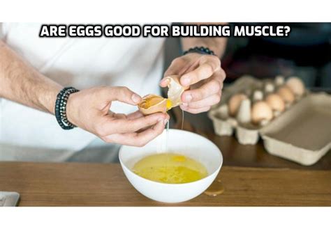 How To Have A Healthy Life Are Eggs Good For Building Muscle