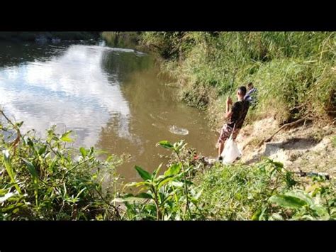 pescaria de tilápia na beira do rio a água barrenta só tilápia top