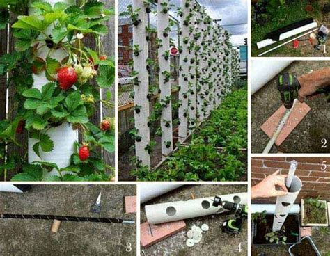 Top Incredibly Clever Gardening Tricks For Your Garden Jardinage