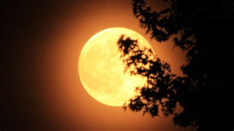 Penampakan Supermoon Tahun Ini Adalah Yang Terakhir Ntbsatu