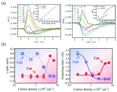 A Transient THz PC Of The Gr PtSe 2 Heterostructure With Various Pump