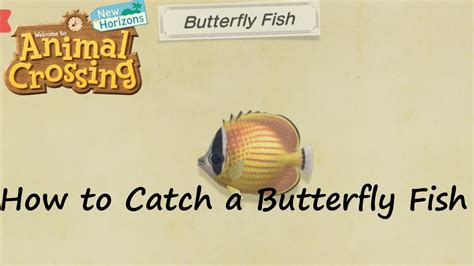 Animal Crossing New Horizons How To Catch A Butterfly Fish Youtube