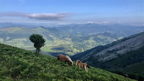 Monte Aldape Montes De Galdames Montes De Grumeran Eitb Eus Flickr