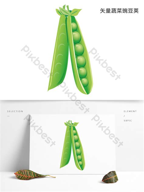 Pea Pod Green Vegetable Plant Agricultural Commercial Drawing Element ...