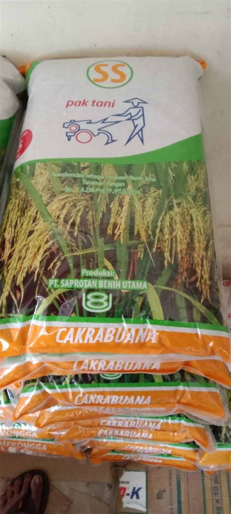 Benih Padi Cakrabuana Agritan Kg Lazada Indonesia