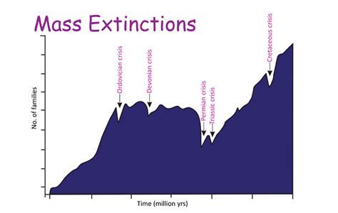 The Biggest Mass Extinction In Earth’s History National Museum Publications