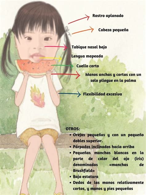 Características Ctduca Mexico