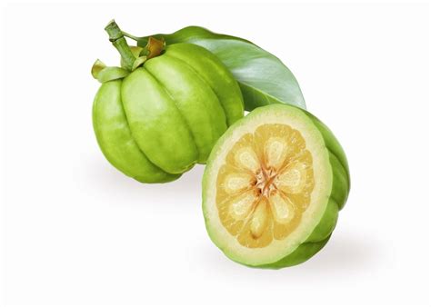 Extracto De Garcinia Cambogia Distribuidor Mayorista De Materias