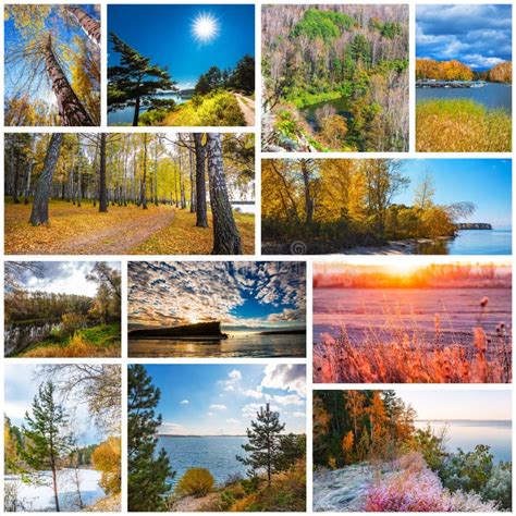 Collage De Las Fotos De La Naturaleza De La Estaci N Del Oto O Foto De