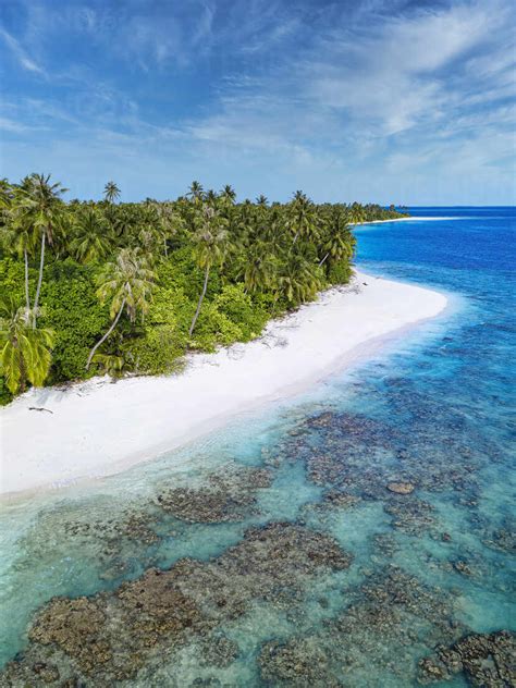 Maldives Kolhumadulu Atoll Aerial View Of Forested Coastline Of