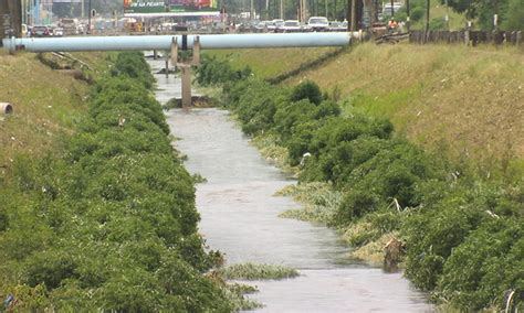 Valas De Drenagem Na Cidade De Maputo Cheias De Lixo E Capim O Pa S