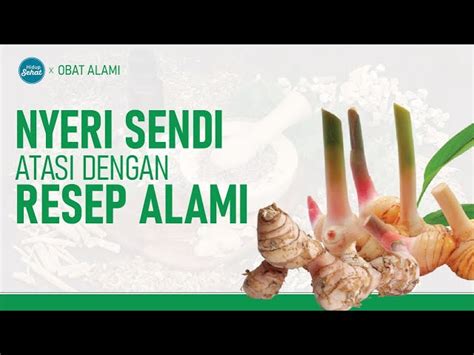 9 Obat Herbal Yang Efektif Untuk Nyeri Lutut Dan Sendi Lansia Wajib