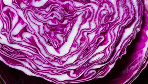 14 Wonderful Red Cabbage Benefits For Skin Hair And Health