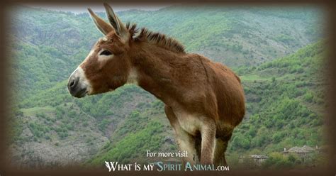 Donkey Symbolism And Meaning Donkey Spirit Totem And Power Animal Animal