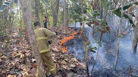 Kebakaran Lahan Ancam Pemukiman Warga Di Ciamis Damkar Dan Rcs