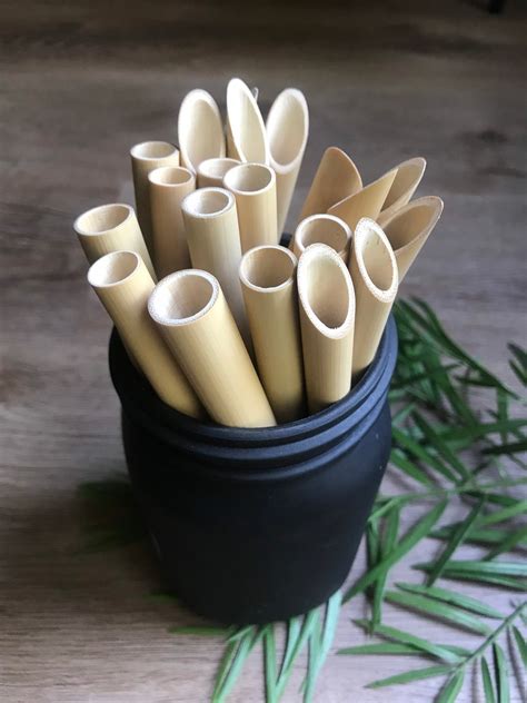 Reusable Organic Bamboo Drinking Boba Straws Boba Drinking Etsy