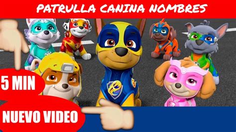 Personajes De Paw Patrol Nombres Shop Clearance Gt