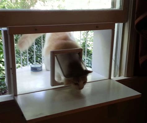 The New Back Panel Doors Are In And A Great Success Cat Solarium The Cat Window Box Catio