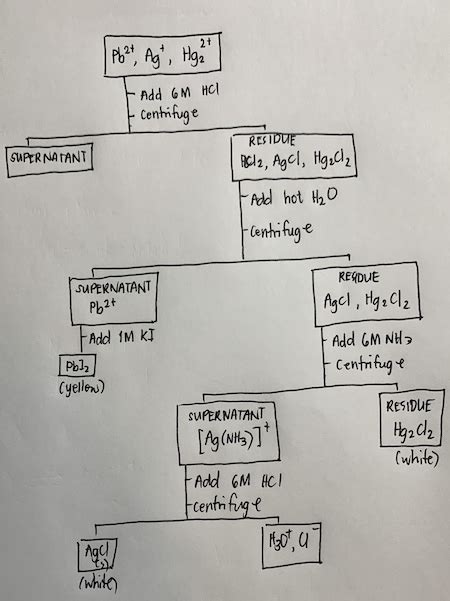 Prepare a flow chart of all the steps taken in the experiment using the ...