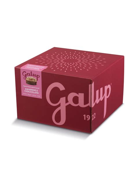 Panettone Gran Galup Con Amarene E Cioccolato 750g Acquista Online Al