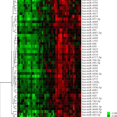 Hierarchical Clustering Heat Map Of The Differentially Expressed Download Scientific Diagram