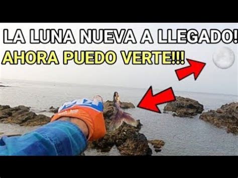 Sirena Real Captada Tienes Que Ver Esto El Canto De Las Sirenas Parte