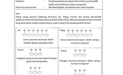 Contoh Soal Hots Ipa Smp Fotosintesis Menjawab Soal